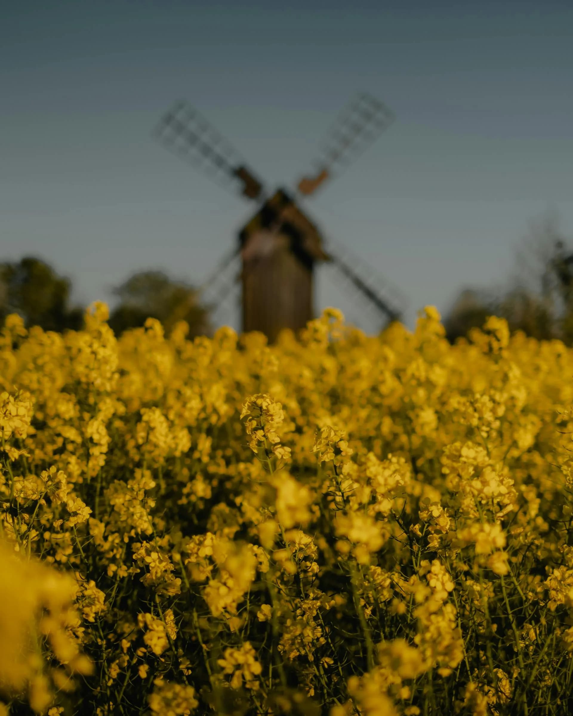 Öland landskap